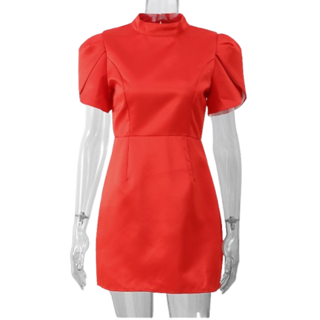 Amelie Lace Puff Sleeve Dress